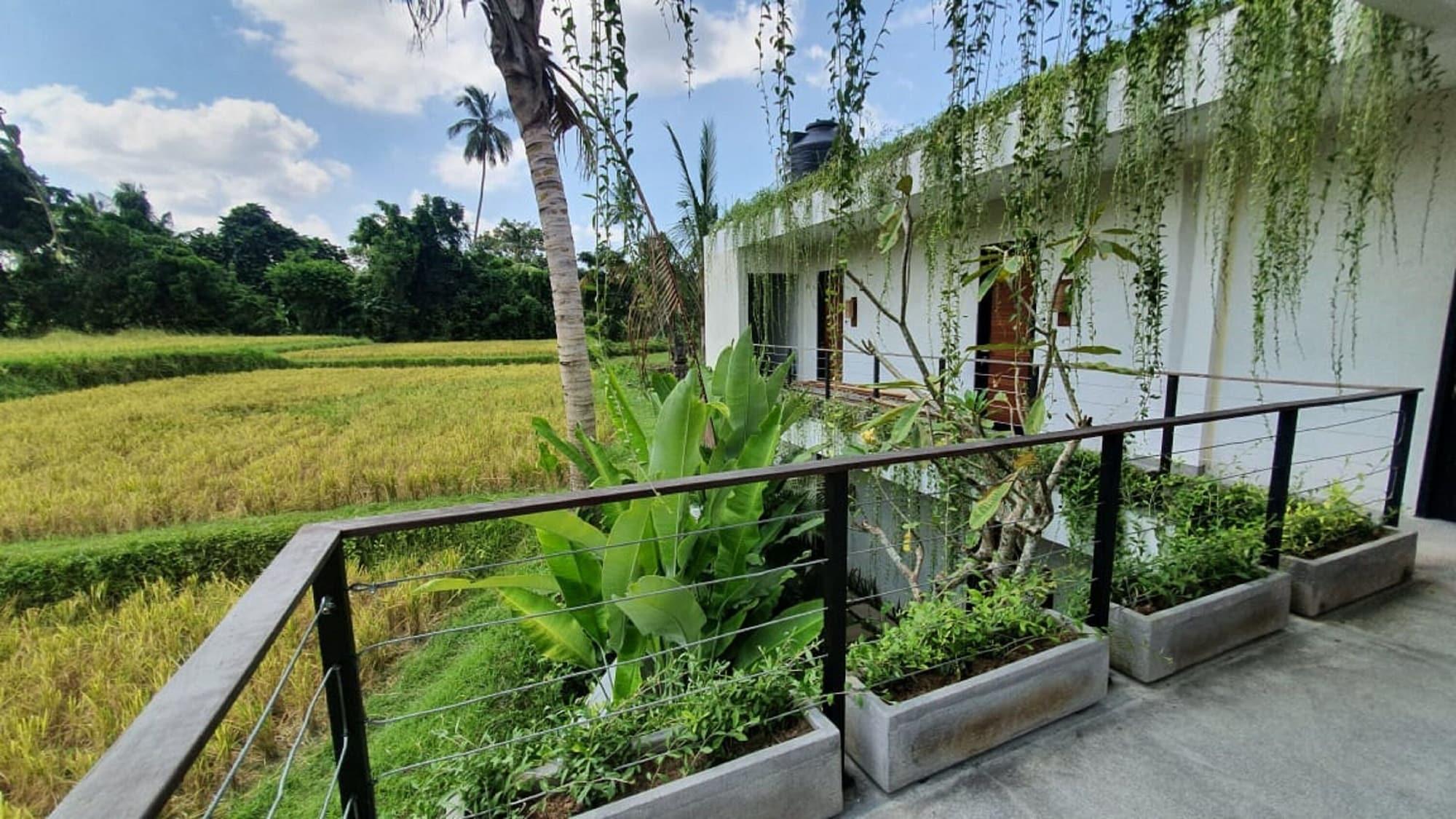 Pandawa Ubud Hotel Zewnętrze zdjęcie