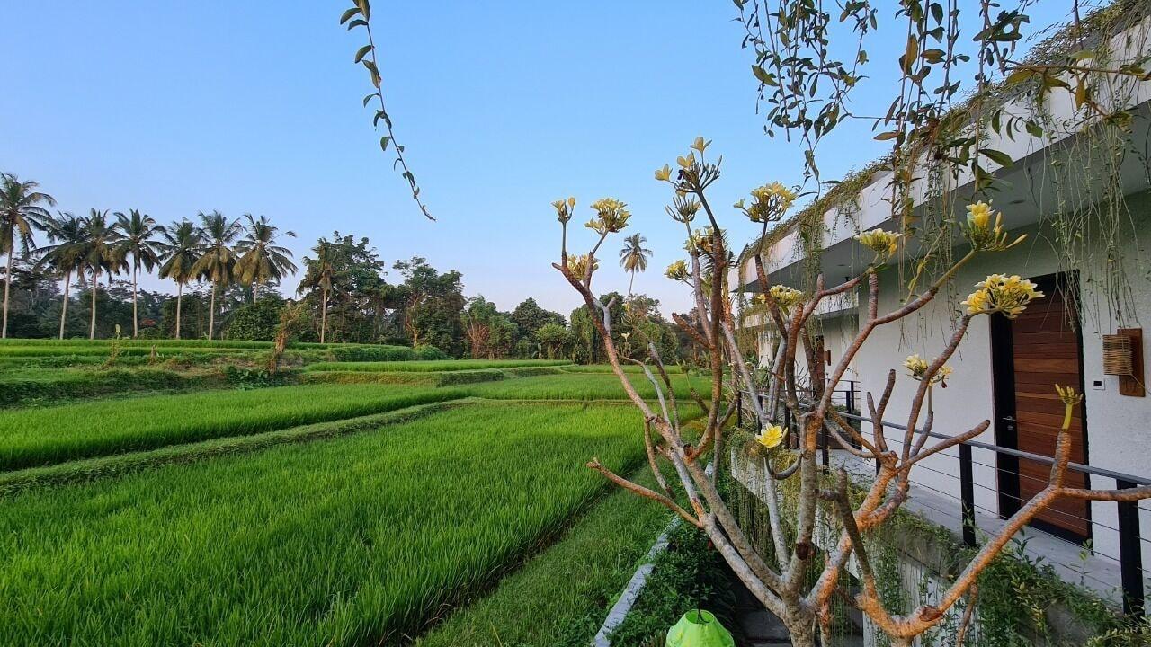 Pandawa Ubud Hotel Zewnętrze zdjęcie