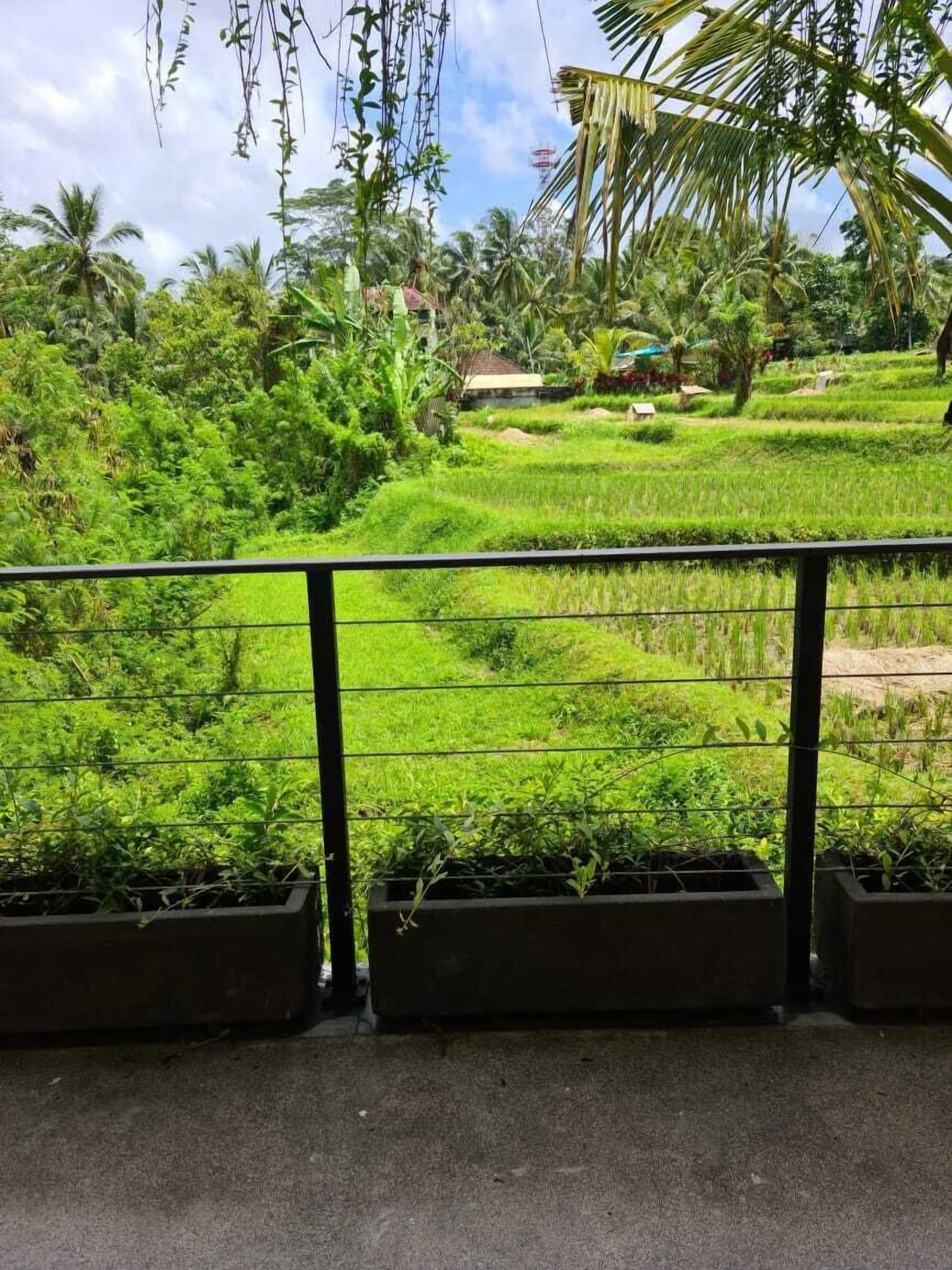 Pandawa Ubud Hotel Zewnętrze zdjęcie