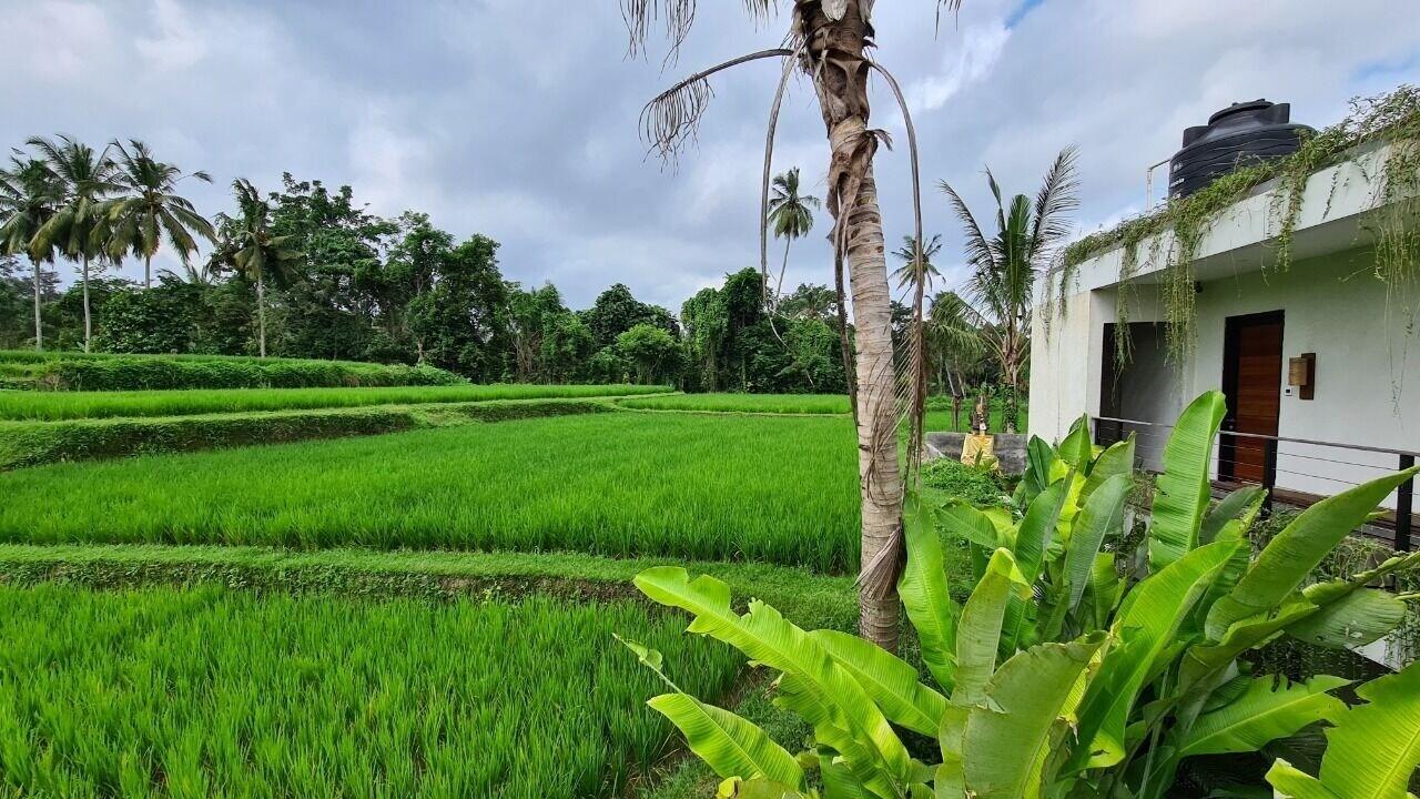 Pandawa Ubud Hotel Zewnętrze zdjęcie