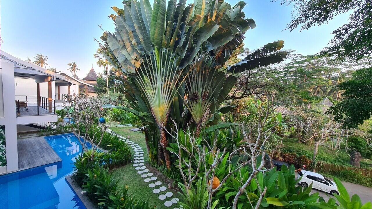 Pandawa Ubud Hotel Zewnętrze zdjęcie